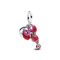 Charm Pandora in Argento Cubic Zirconia 793676C01